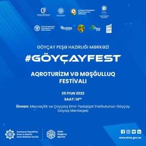 GöyçayFest